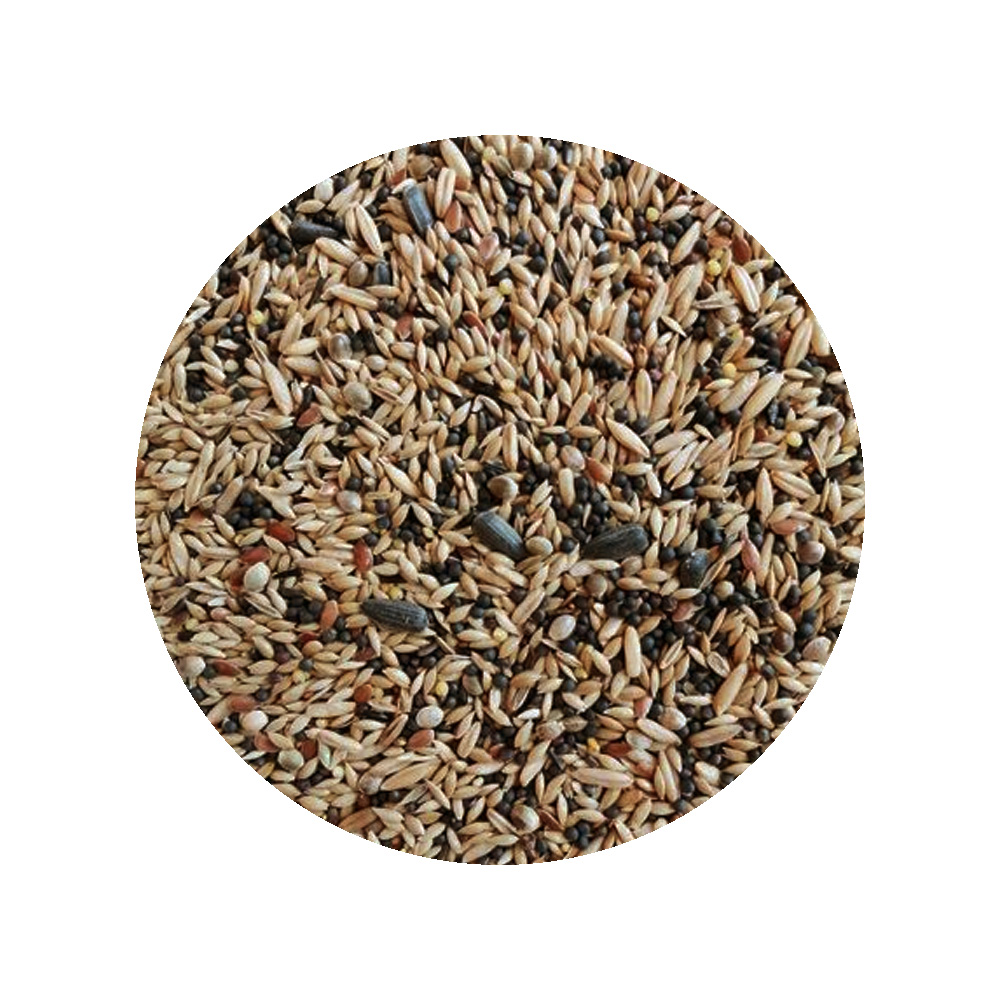 Vitapol Karmeo Pokarm Karma dla Kanarka 500g